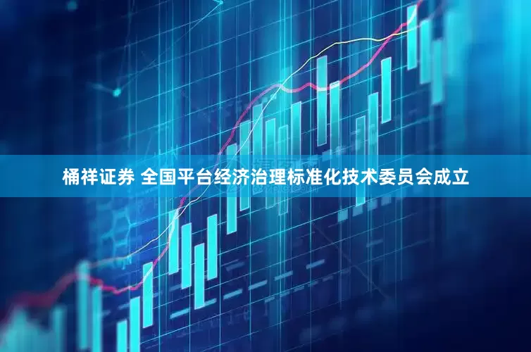 桶祥证券 全国平台经济治理标准化技术委员会成立